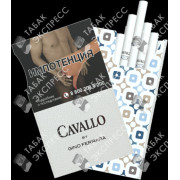 Cavallo by Gino Ferrara