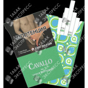 Cavallo by Vasily Vinteroff