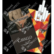 Cavallo by Tony Frank