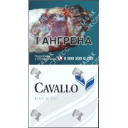 Cavallo Blue Wings
